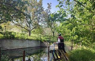 Elazığ’da larva ile mücadele çalışmaları...