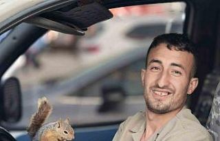 Eliyle beslediği sincap, peşini bırakmadı