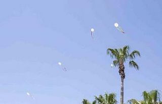 Engelliler Haftası’nda gökyüzü rengarenk oldu