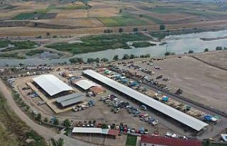 Erbaa hayvan pazarı yeniden kapatıldı