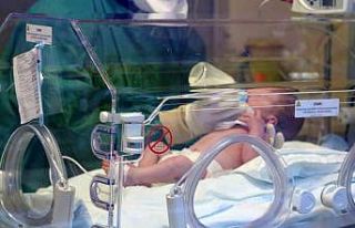 Erzincan’da canlı doğan bebek sayısı 2024 yılında...