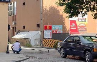 Erzincan’da yavru kargayı vatandaşlar kurtardı