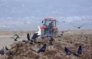 Erzurum’da traktör ve motosiklet sayısında artış...