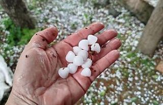 Fındık büyüklüğünde yağan dolu trafik kazasını...