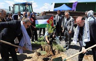 Gazze hatıra ormanında umut yeşerecek