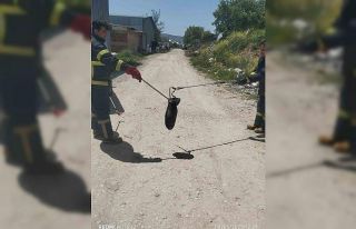 Gediz’de baharın gelmesiyle yılanlar görülmeye...