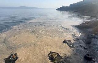 Gemlik’te müsilaj paniği