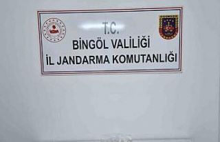 Genç’te uyuşturucu operasyonu