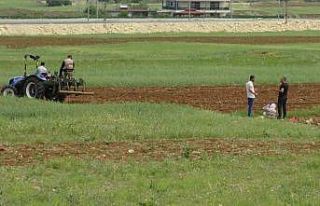 Gercüş’te çiftçiler karpuz ve kavun tohumlarını...
