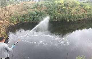 Germencik Belediyesi’nden yaz öncesi yoğun ilaçlama...