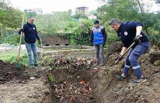 Giresun’da balık atıkları gübre ve yeme dönüşüyor