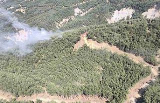 Gökçeada’da orman yangını