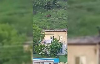 Gümüşhane’de gündüz vakti şehrin merkezine...