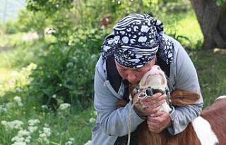 Gürcistanlı Nino, Erzincan çiftçiliğine renk...
