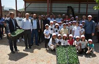 Güroymak’ta fide ve tohum dağıtımı yapıldı