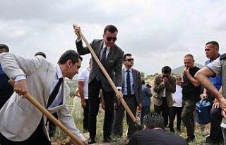 Hakim, savcı ve hükümlüler yanan ormanı yeşertmek...