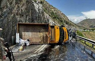 Hakkari-Van yolunda trafik kazası, 2 yaralı