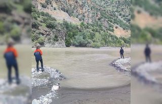 Hakkari’de 22 gündür kayıp kadını, 165 personel...