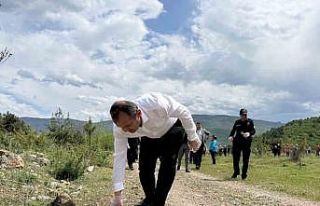 Hanönü’nde "Orman Benim" etkinliğiyle...