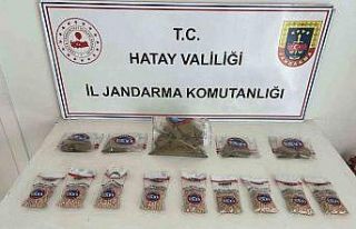 Hatay’da 450 gümrük kaçağı kuru sıkı tabanca...