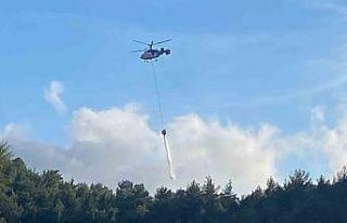 Hatay’da orman yangını