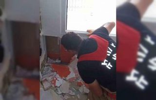 Havalandırma boşluğuna düşen kedi duvar kırılarak...