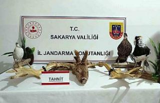 Hayvanat bahçesi gibi ev: Evinden çıkanlar hayrete...