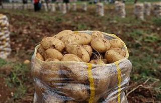 Hepsi geri gönderildi: Yurt dışından gelen 2 bin...