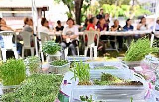 Heykeller yeşerdi, minyatür bahçeler ortaya çıktı