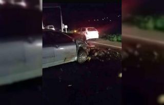 Iğdır’da otomobil hayvan sürüsüne çarptı:...