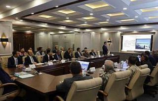 Iğdır’da sahipsiz hayvanların yüzde 97’si...