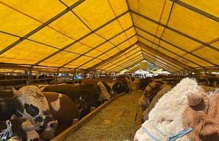 İhlas Vakfı Asya ve Afrika’da 6 ülkede kurban...