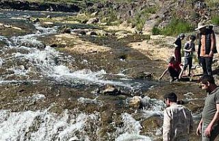 İnci kefalinin göçü yerli ve yabancı turistlerin...