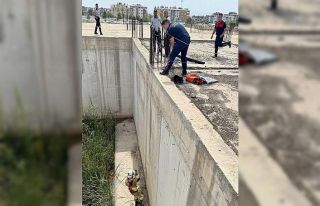 İnşaat temelinde mahsur kalan kediyi itfaiye kurtardı