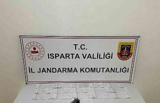 Isparta’da tefecilik operasyonu