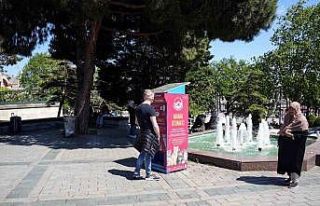 İstanbul’da kedi taklidi yapan martıların mama...