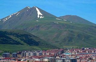 İşte Erzurum’un 2025 birinci çeyrekteki yapı...