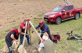 İtfaiye ekipleri kuyuya düşen koyunu kurtardı