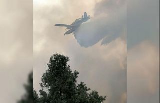 İzmir’de zeytinlik alandaki yangın kontrol altında