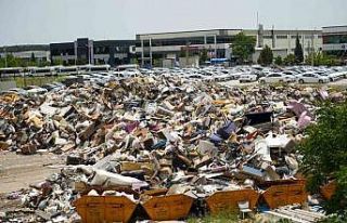 İzmir’in göbeğinde çöp alanından ürküten...