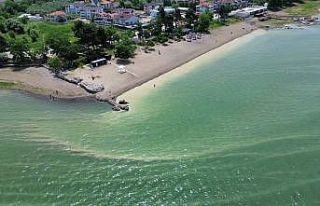 İznik Gölü’nde endişelendiren görüntü