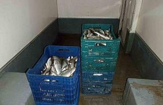 İznik Gölü’nde kaçak avcılığa jandarma operasyonu