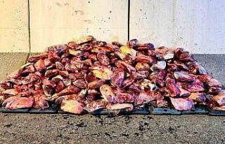 Jandarma 1 ton 700 kilo mühürsüz et ele geçirdi