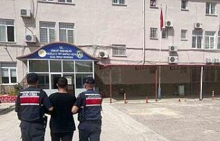 Jandarmadan aranan şahıslar operasyonu