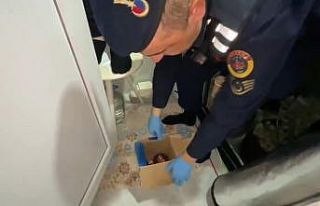 Jandarmadan evinde uyuşturucu yetiştiren şahsa...