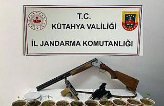 Jandarmadan kenevir operasyonu