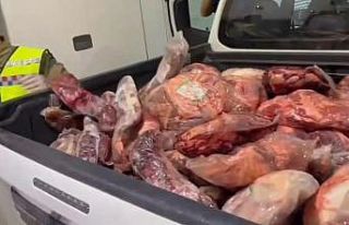 Jandarmadan şok yol uygulaması: Kaçak et ve binlerce...