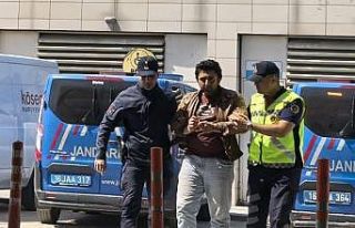 Jandarmaya ekiplerine saldıran genç tutuklandı