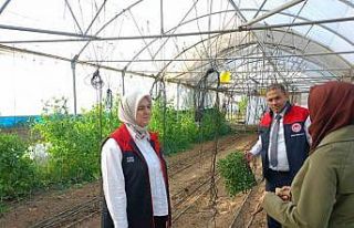 Kadın çiftçiye destek