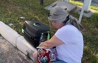 Kadın sürücü önce ağlayıp şoka girdi, sonra...